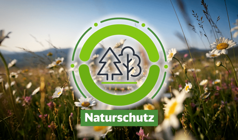 Bahn in der Krise: Können die Grünen die Wende schaffen?