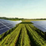 Agrivoltaik: Warum doppelte Ernte besser&hellip;