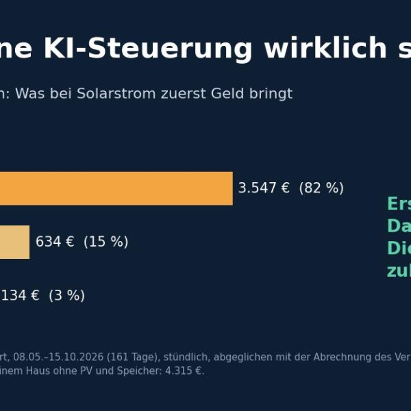 Symbolbild zum Beitrag: 134 Euro: Was meine KI-Energiesteuerung wirklich spart
